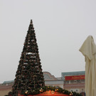 IMG_0053.JPG