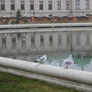 IMG_0025.JPG