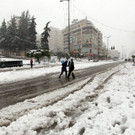 IBD0451-20131213.jpg