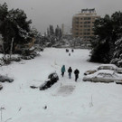 IBD0449-20131213.jpg