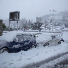 IBD0331-20131213.jpg