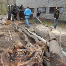 DSCN3381.JPG