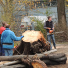 DSCN3370.JPG