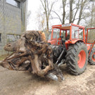 DSCN3378.JPG