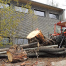 DSCN3376.JPG