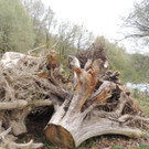 DSCN3394.JPG