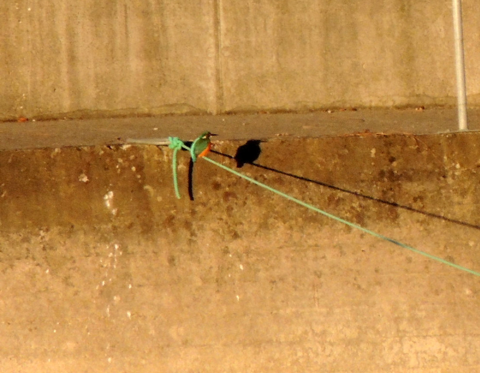 DSCN6723.JPG