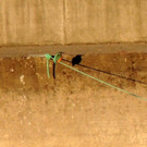 DSCN6723.JPG