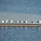 DSCN6734.JPG
