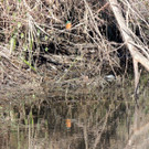 DSCN6748.JPG
