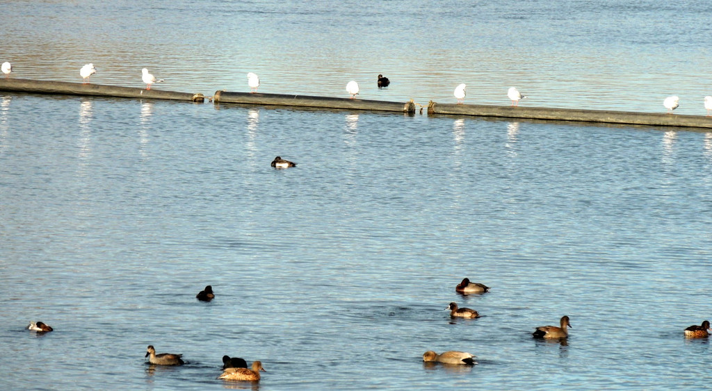 DSCN6730.JPG