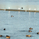 DSCN6730.JPG