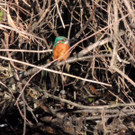 DSCN6750.JPG