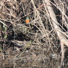 DSCN6758.JPG