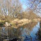 DSCN6765.JPG