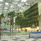 Changi Airport Singapur (Singapur) 