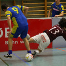 IMG_5675.jpg
