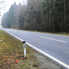B19P8445.jpg