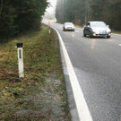 B19P8460.jpg