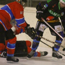 IMG_7929.jpg