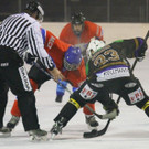 IMG_8127.jpg