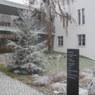 DSCN1654.JPG