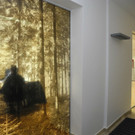 DSCN1560.JPG