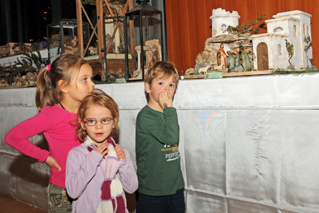 Krippen Ho__chst 2013 51.jpg