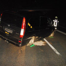 DSC_2818-2.jpg