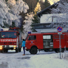 Niederösterreich: Feuerwehr rettet Marder von gefrorenem Speicherteich