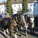 Markt25Kutsche.jpg
