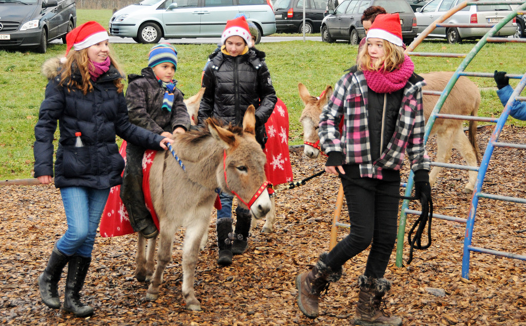 Weihnacht Gai__au 15-12-2013 27.jpg