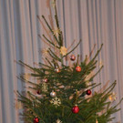 DSC_2424.JPG