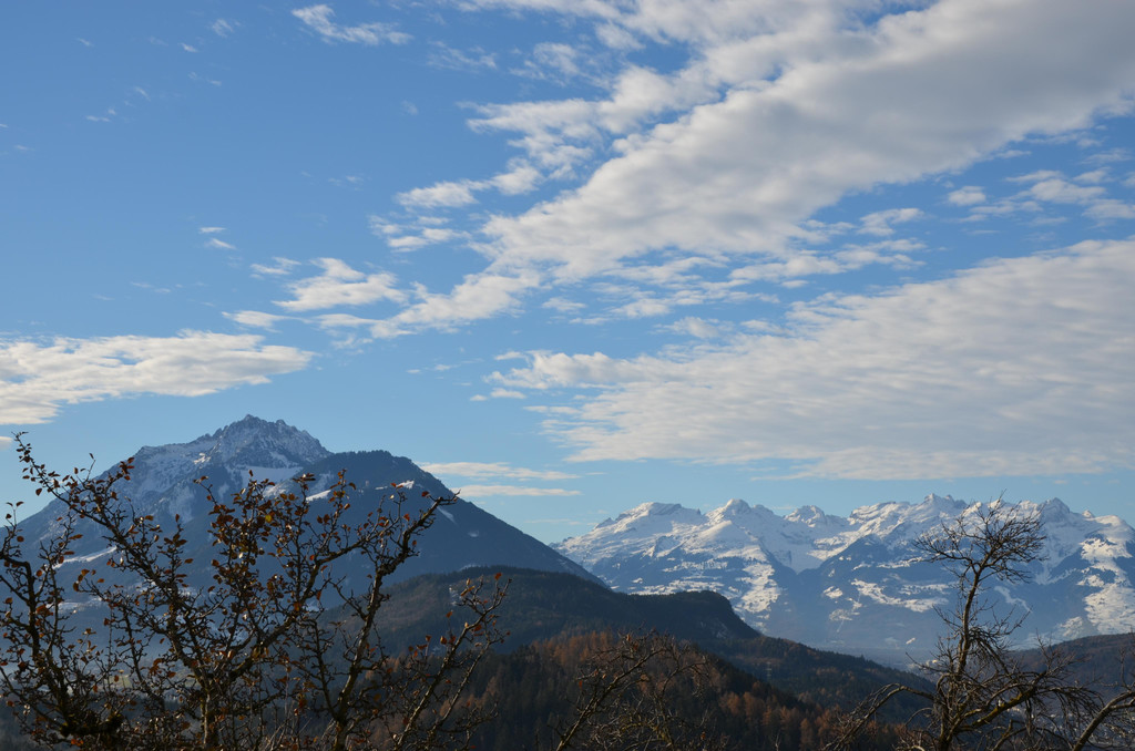 DSC_0618.JPG