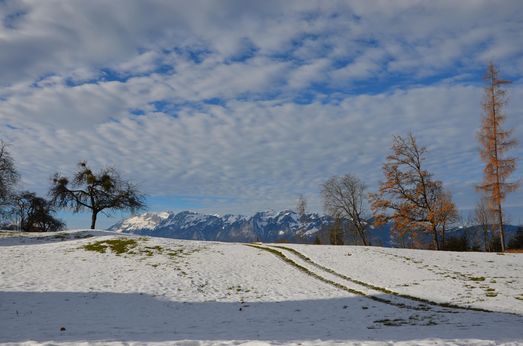 DSC_0619.JPG