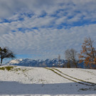 DSC_0619.JPG
