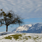 DSC_0620.JPG