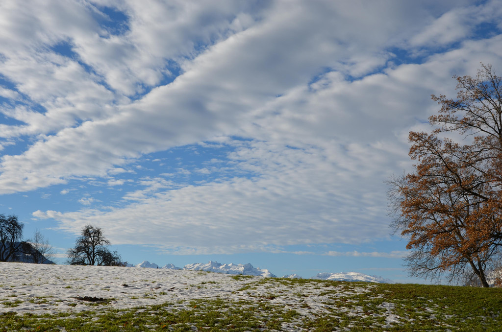 DSC_0621.JPG