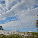 DSC_0621.JPG