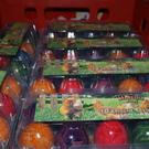 DSC05740.JPG