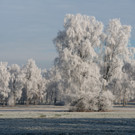 Winterstimmung im Lauteracher Ried