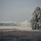 GMA_0034.jpg
