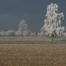GMA_0116.jpg