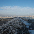 GMA_9705-Bearbeitet.jpg