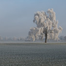 GMA_9724-Bearbeitet-2.jpg