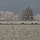 GMA_9847-Bearbeitet.jpg