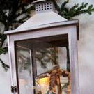 DSC05819.JPG