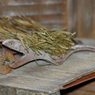 DSC05840.JPG