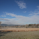 IMG_6362.jpg