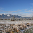 IMG_6419.jpg